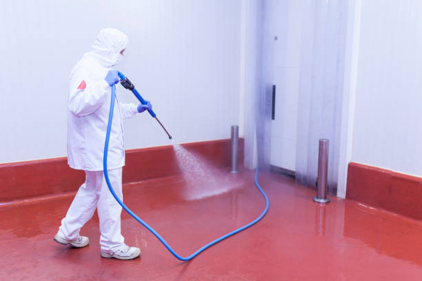 Best Rust Removal  in Poplar Cotton Center, CA