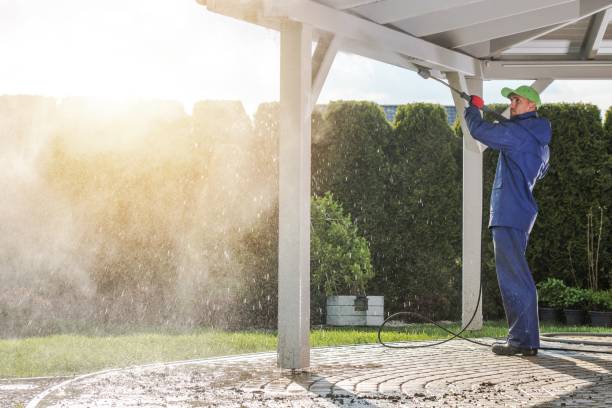 Best Animal Enclosure Cleaning  in Poplar Cotton Center, CA