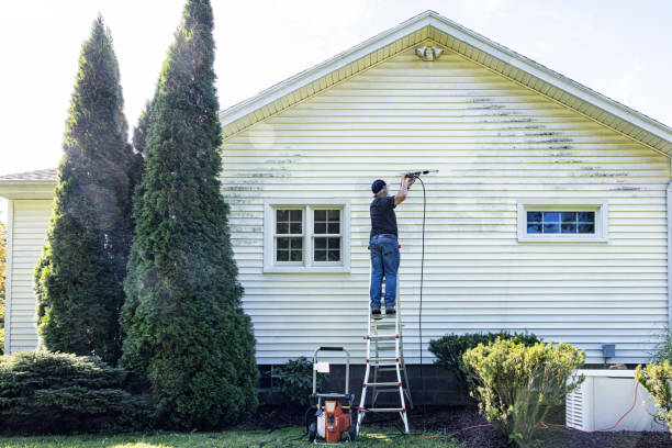 Best Patio and Deck Pressure Washing  in Poplar Cotton Center, CA